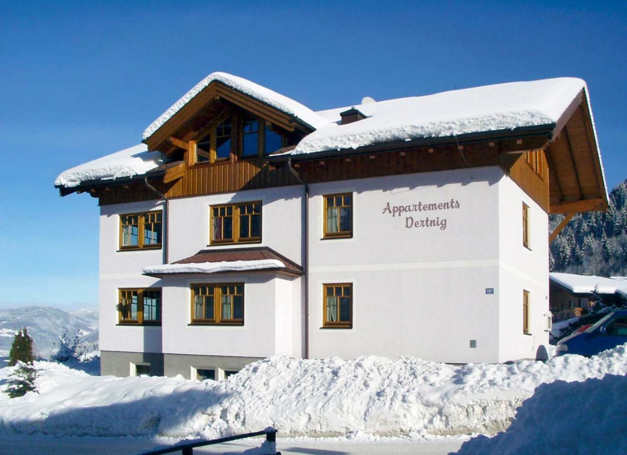 Appartement Dertnig 弗拉绍 外观 照片
